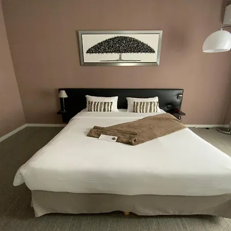 Hotel Le Renaissance Mont-de-Marsan