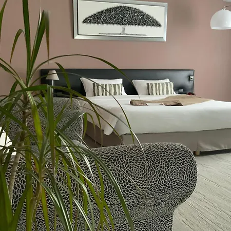 Le Renaissance Ξενοδοχείο Mont-de-Marsan