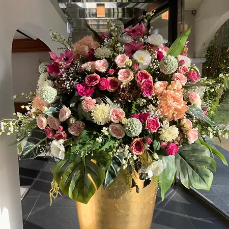 Le Renaissance 3* Mont de Marsan