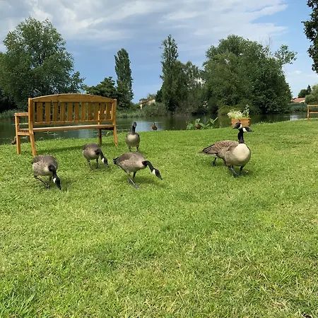 Le Renaissance 3* Mont-de-Marsan