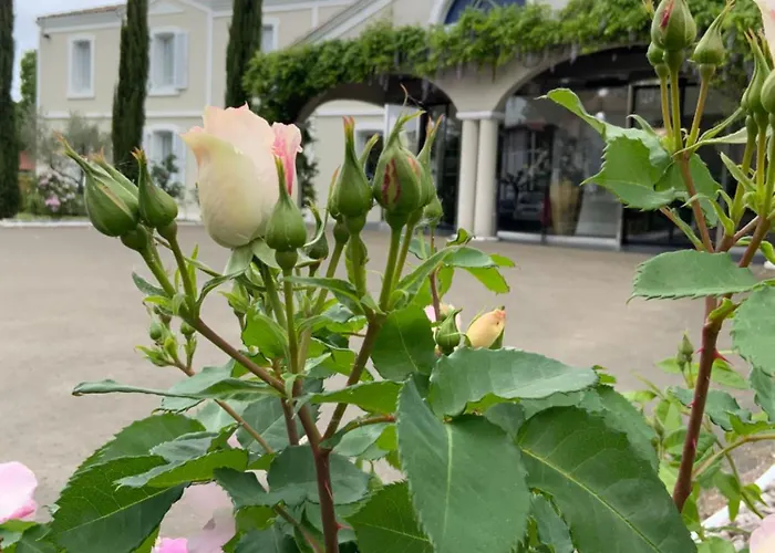 Hotel Le Renaissance 3*