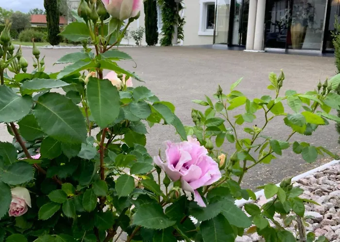 Le Renaissance Hotel