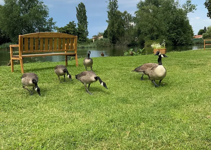 Le Renaissance 3* Мон-де-Марсан